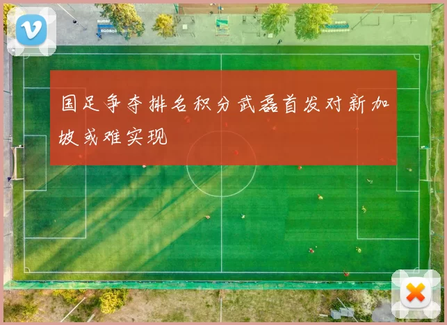 国足争夺排名积分武磊首发对新加坡或难实现