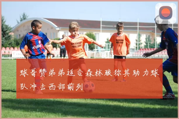 球哥赞弟弟适合森林狼称其助力球队冲击西部前列