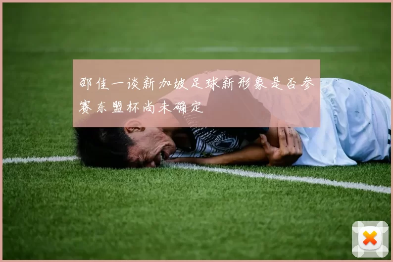 邵佳一谈新加坡足球新形象是否参赛东盟杯尚未确定