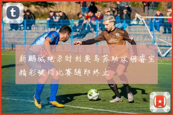 新鹏城绝杀时刻奥乌苏助攻胡睿宝精彩破门比赛随即终止